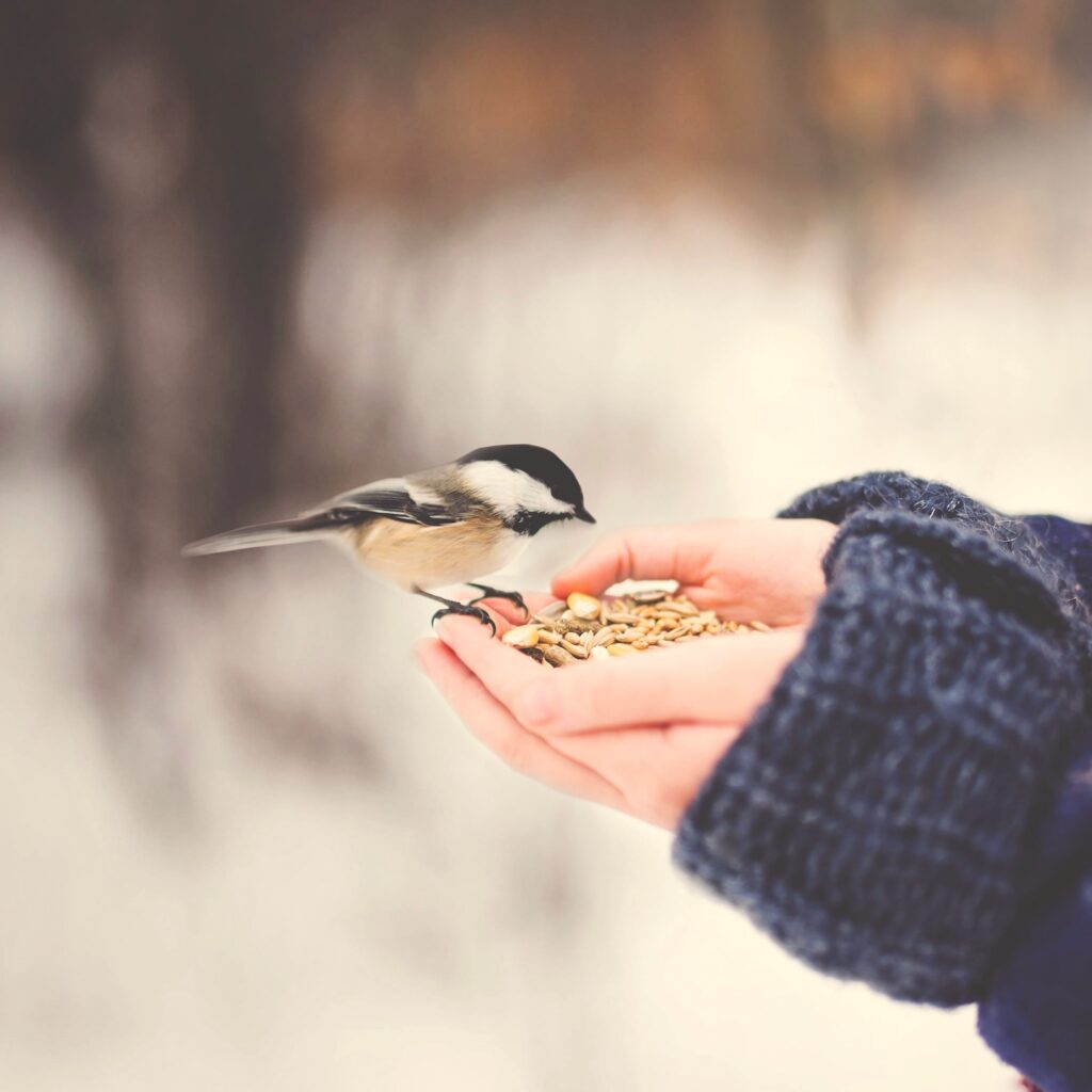 Cranionsacral Therapie | Aarau | Karin Krattiger